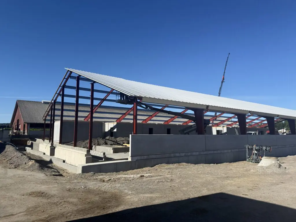 Ny staldbygning under opførelse med betonsokkel, rødbrune stålspær og tagplader under montage.